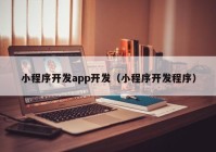 小程序開(kāi)發(fā)app開(kāi)發(fā)（小程序開(kāi)發(fā)程序）